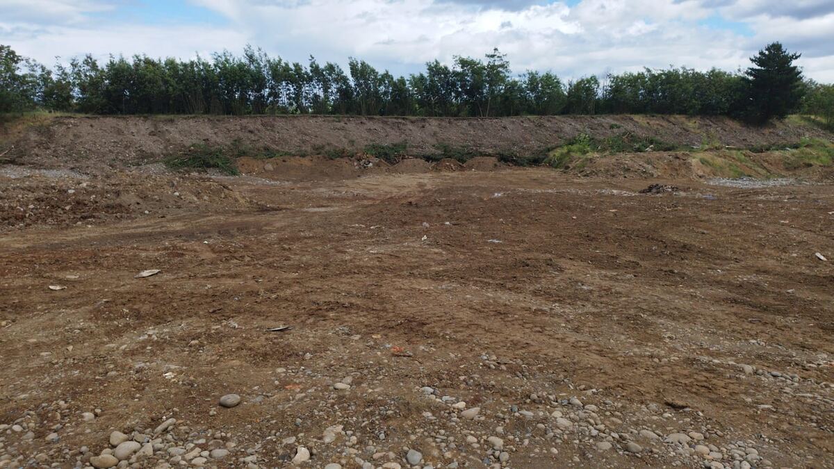 Foto real: terreno nivelado, bosque de fondo